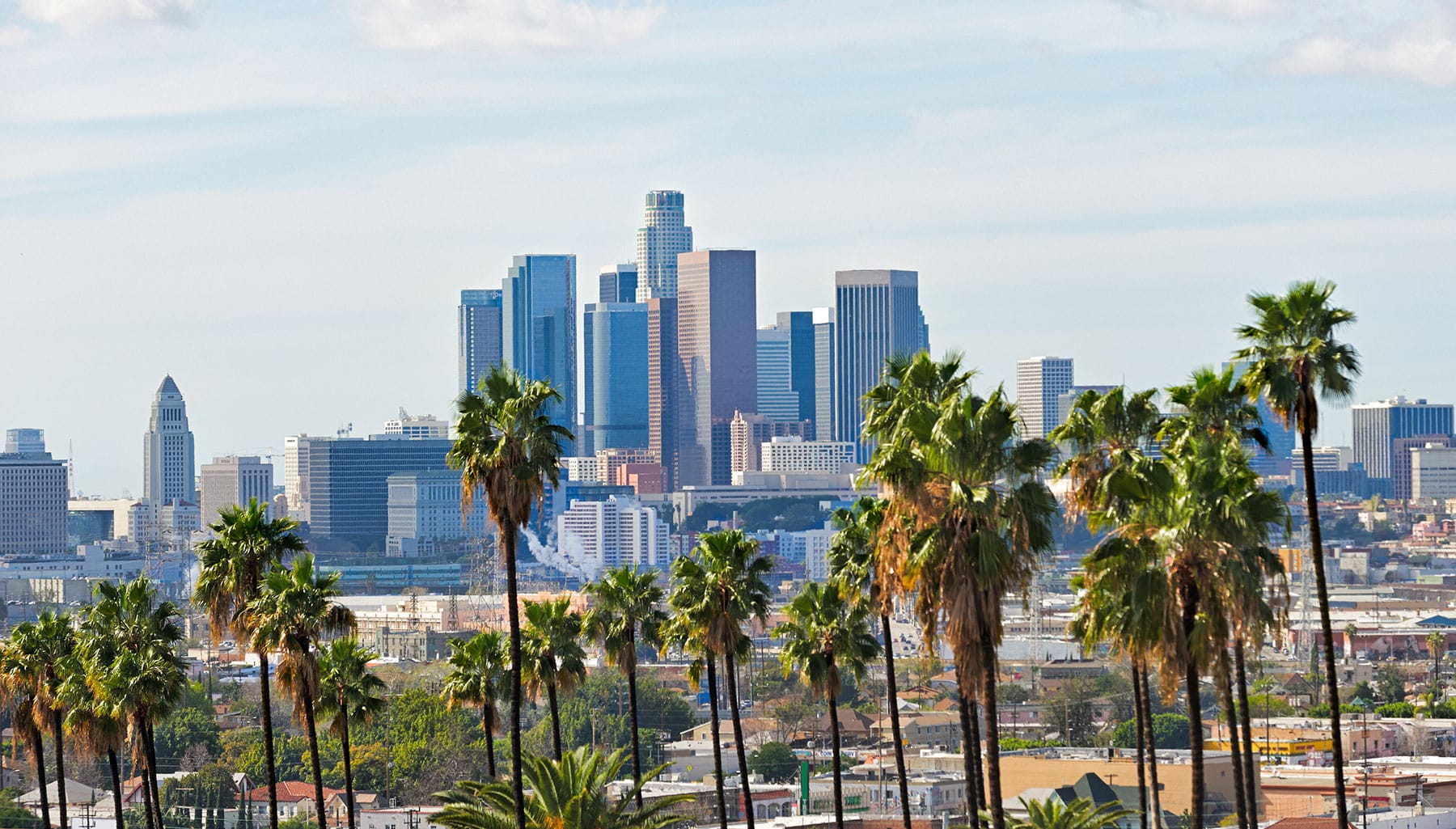 Los Angeles, CA, with city in the background and palm trees in the foreground